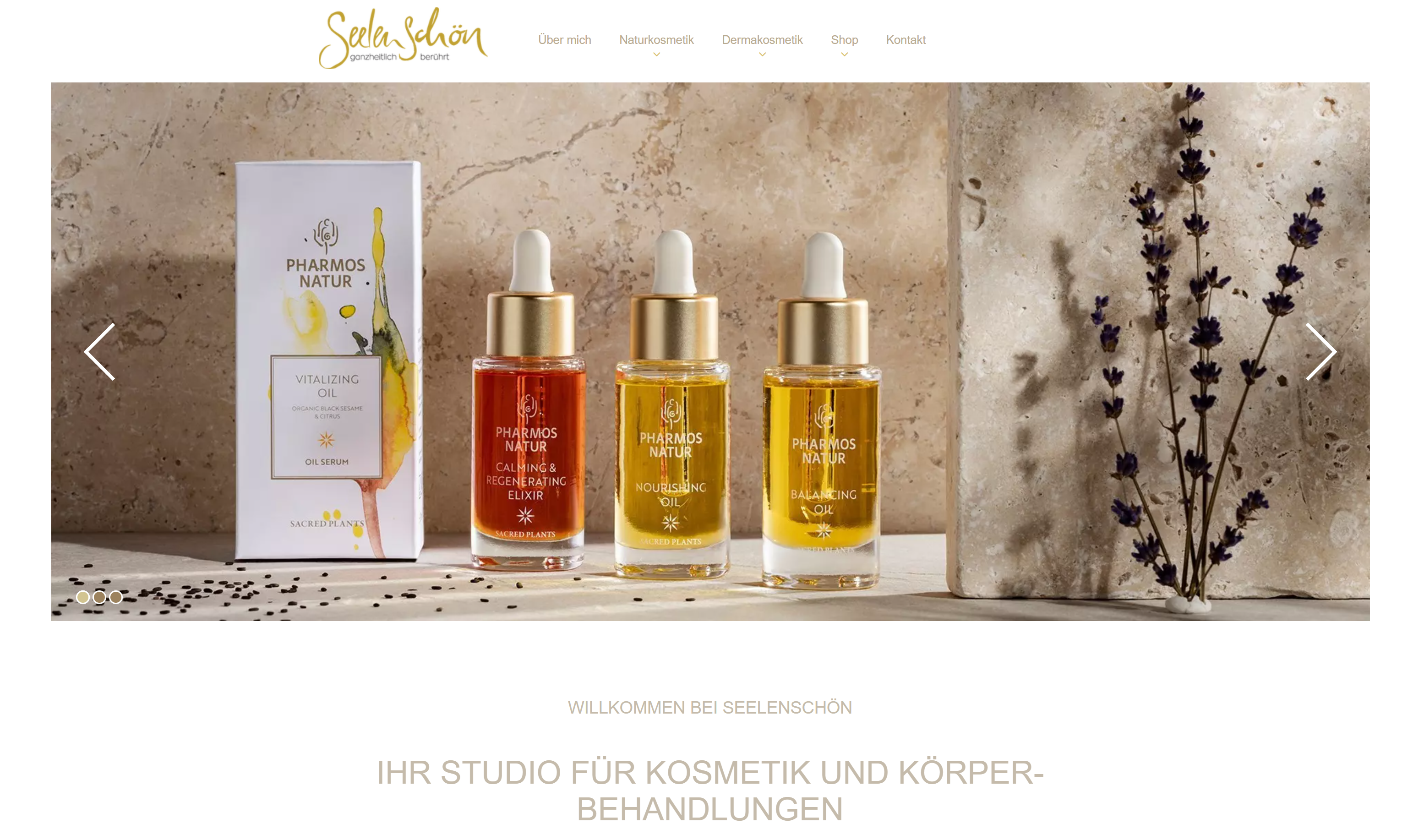 GO IT Premium Website